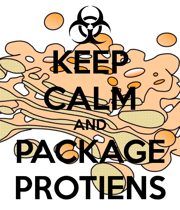 GolgiBody2012's tweet photo. Vote GOLGI BODY-You know you want to! http://t.co/DAWwmjKJ