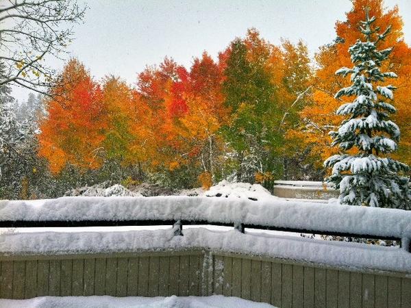 misshope's tweet photo. . @schlopes does this mean @PtZero1 is open for business? “@jonnymoseley: 12 inches at the top the squaw.http://t.co/414b0pYC” #ski