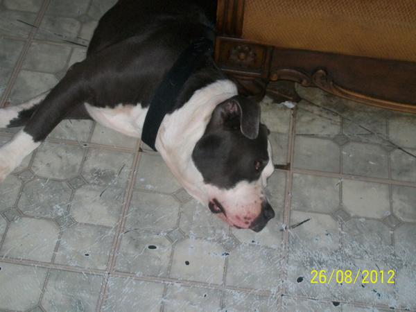 BreakTheChain_ tweet picture