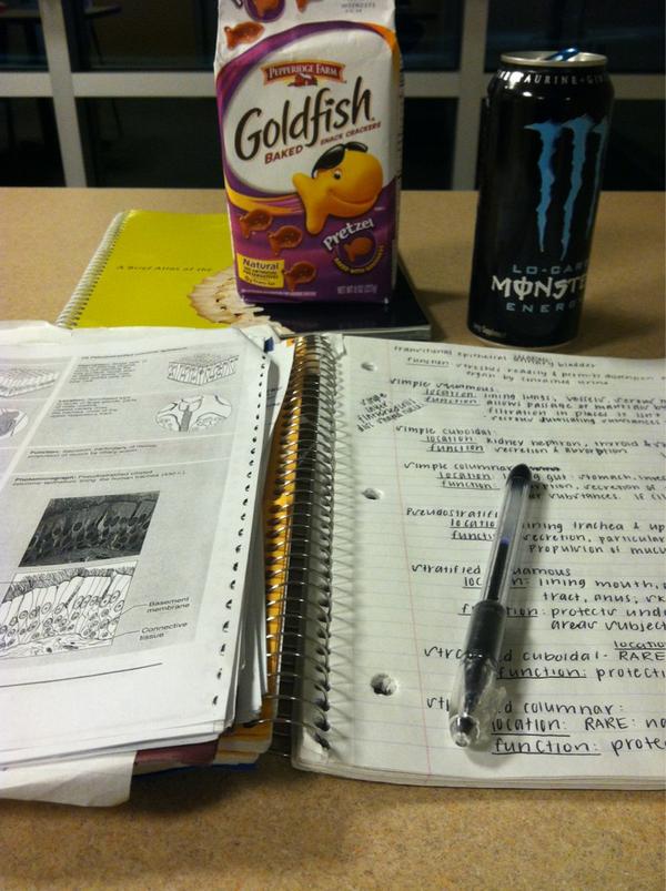 BRitttGUEST's tweet image. long night ahead #tissues #labpractical 😭
