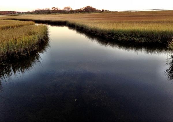 Michael Melford On Twitter Barn Island Wildlife Management Area
