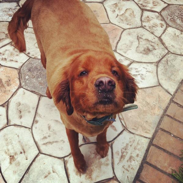cuteaww_'s tweet photo. Cutie :) http://t.co/amx90SA3