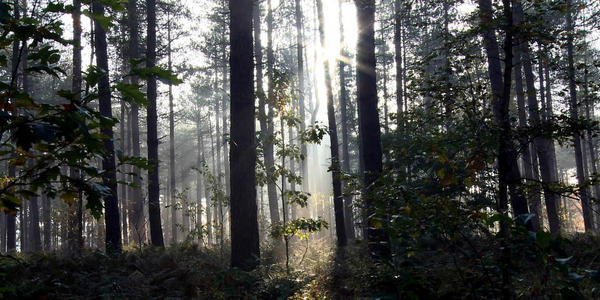 nedview's tweet image. De documentaire over rivier De Donge is goed op weg. Kijk naar foto's en peviews op facebook.com/RivierDeDonge