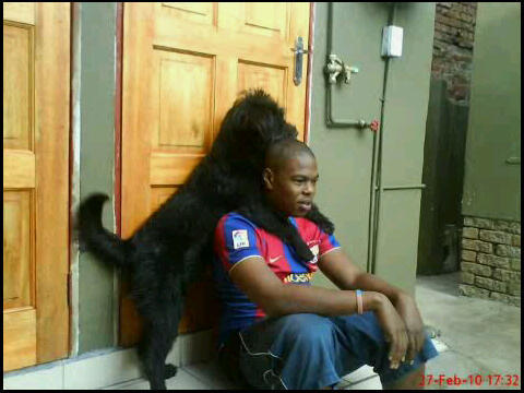 Pree Ndlovu tweet media