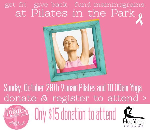 pilatesintheparkflagler.com