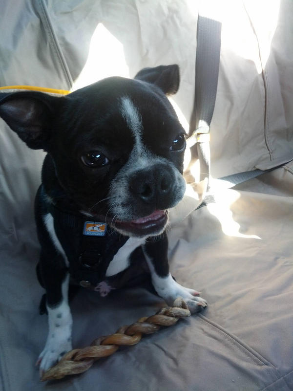 cuteaww_'s tweet photo. i just love car rides (: http://t.co/8Y5QdPK0