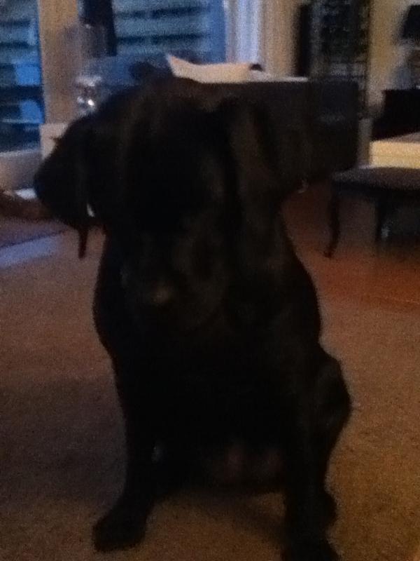 ABCDAAN's tweet image. Haha alleen thuis met hem