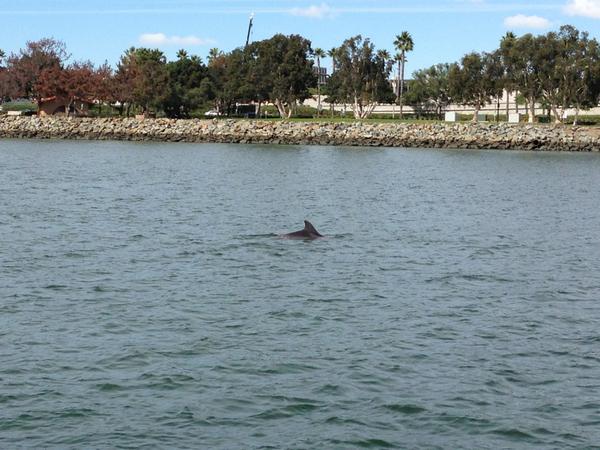 SaltieCharters tweet picture