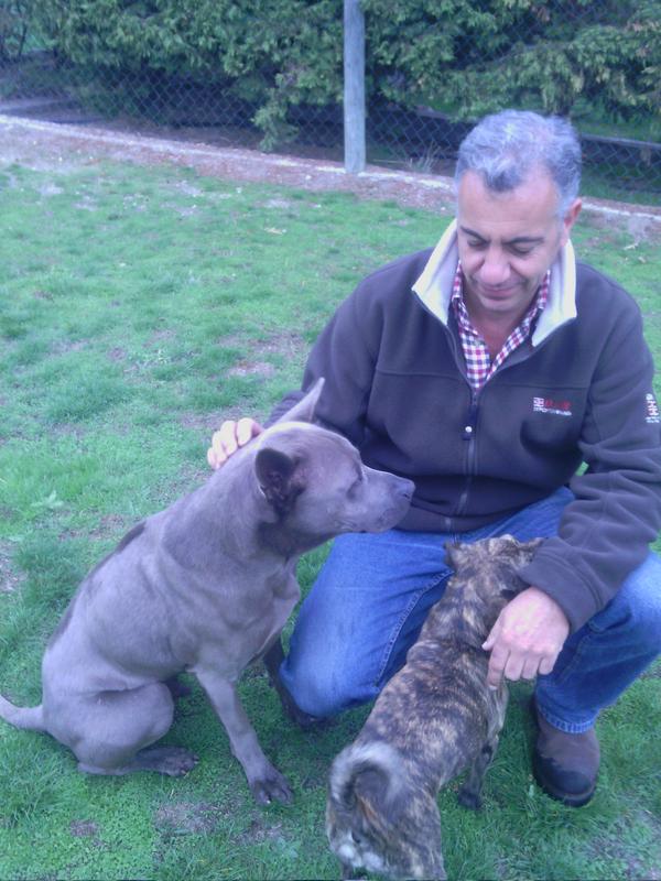 Storm"el intocable"cada vez mas confiado con desconocidos...