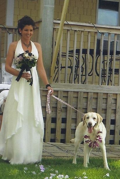RonSansone's tweet image. #SearchLab took a break from SEO recently to walk my wife down the aisle! #dogs #bestlab