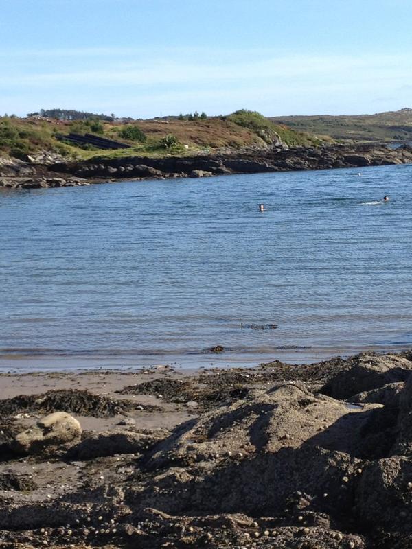 Visit Schull tweet media