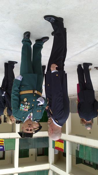 Isabel Febrer tweet media