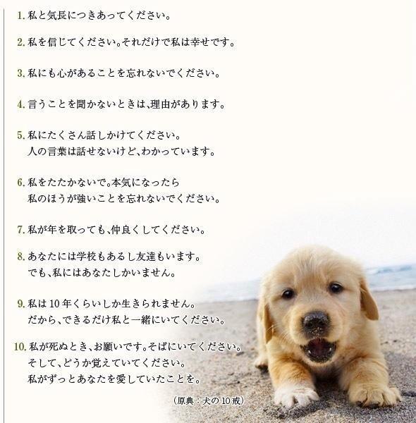 小林佳代 kk Twitter 小林佳代 kk Twitter