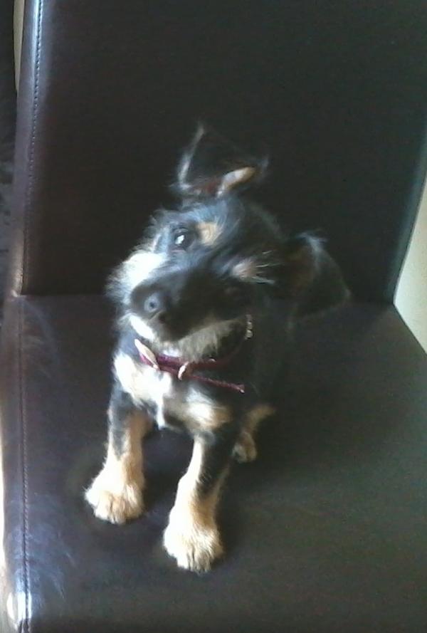 svieten's tweet photo. I <3 Sophie :) http://t.co/J7vQ6VDE