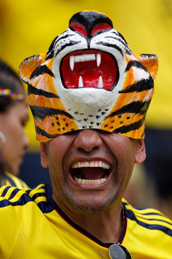 NoticiasCaracol's tweet photo. Ruge tigre #SiSiColombia http://t.co/k7VjUppt