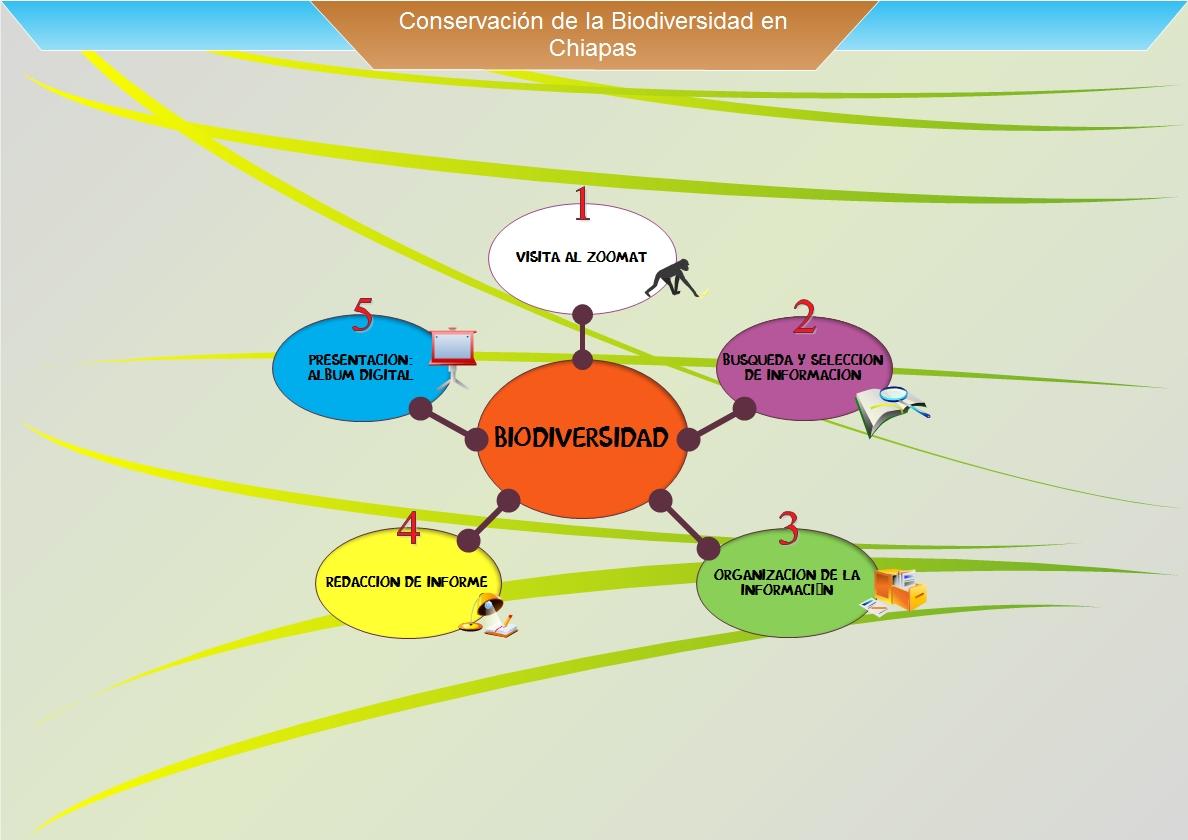 Mapa Mental De La Biodiversidad Tienes Que Saber Esto Images | Porn Sex ...