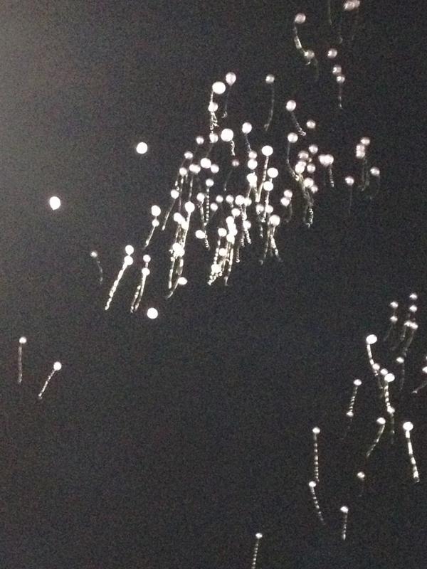 Ralston Valley High School sends balloons up to celebrate #jessicaridegeway