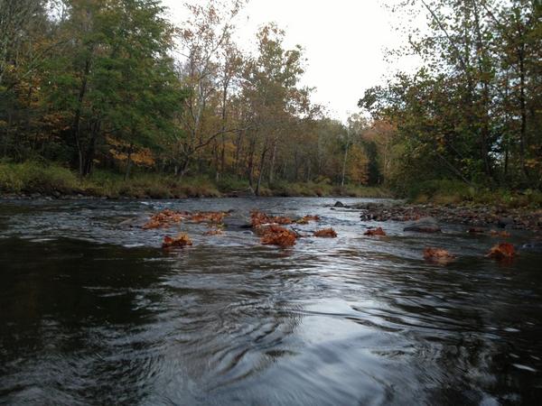 FarmyAnglers tweet picture