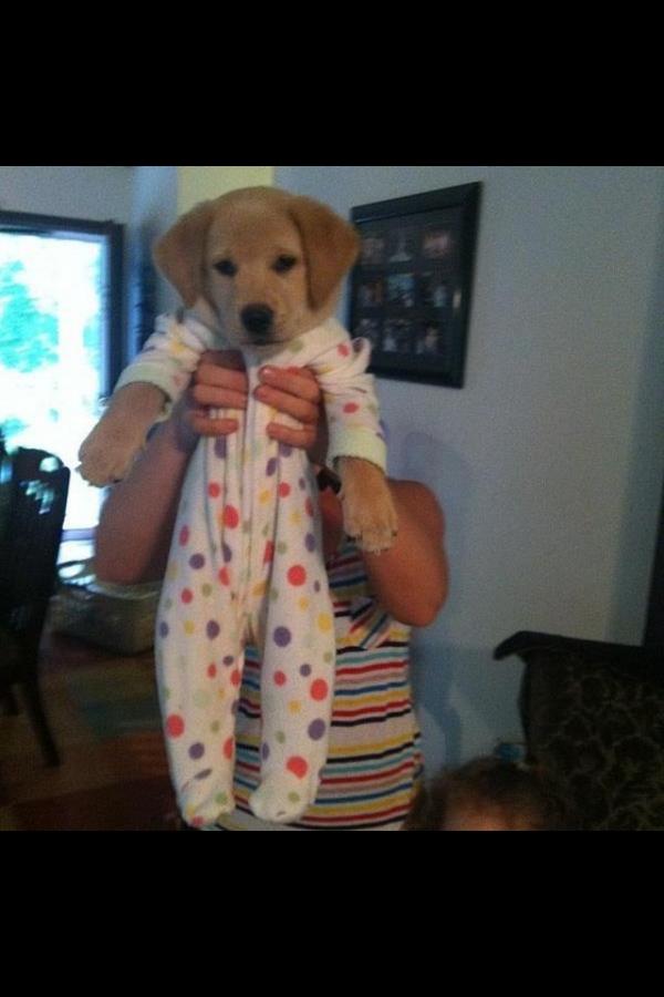 MeidenTweetsXXL's tweet photo. RT is schattig favo is zielig http://t.co/k9CWpst0