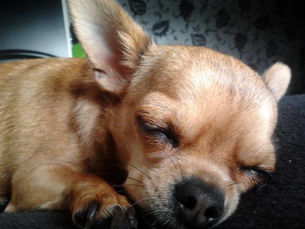 Weekend!! Lekker uitslapen;)