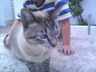 Julia_protegida's tweet image. Al final le he cogido cariño... #MyButtercup