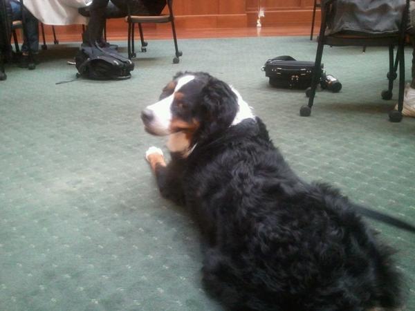 LeanDelaware's tweet image. Next speaker at #leandelaware #lean cc @lean