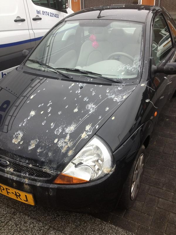 emvie24's tweet photo. Onderweg aangevallen door een struisvogel http://t.co/kW6P3ywN
