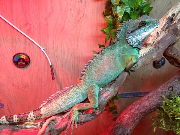 Rich Sanders (@babyrichexeter) on Twitter photo 