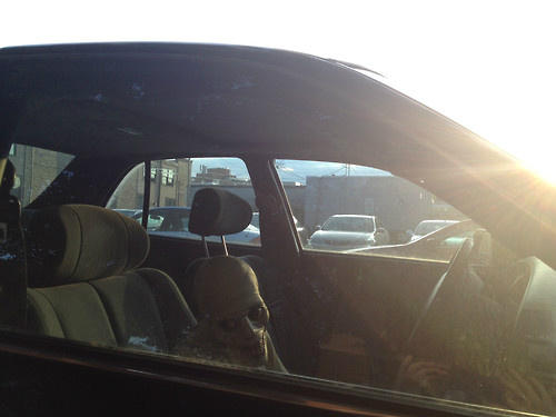 broadwayboundny's tweet photo. not what you expect to see in the car next to you.. http://t.co/Yy7k24vA