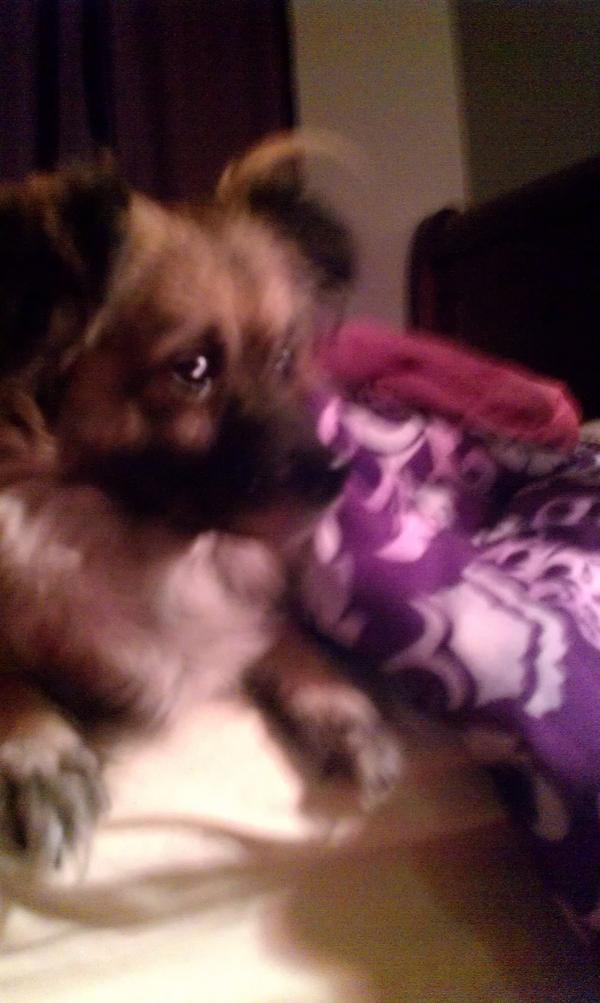 Ty_becoolin's tweet image. “@Mrs_Everlastin: Ma Cuddy Buddy
#BoundForSuccess http://t.co/KioDM7t9”lol