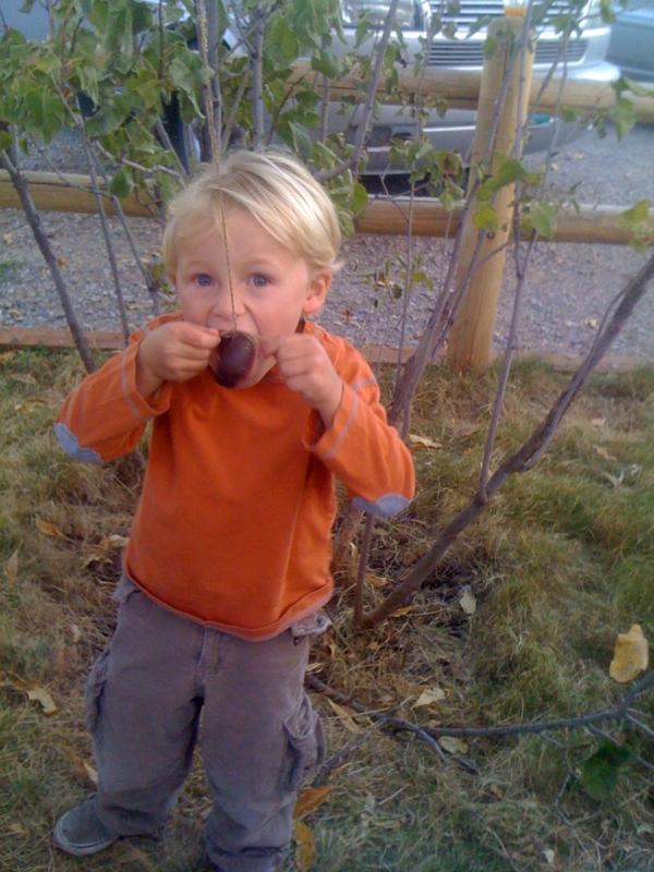 Jackson Hole Nannies (JHNannies) Twitter