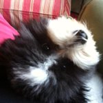 Photo by Velma (@Velma)