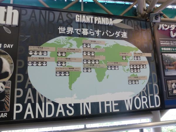 ｕｓｊのツボ ｕｓｊで出会った心温まる物語 Pa Twitter これが 世界の動物園でのパンダの数です 和歌山アドベンチャーワールドが 断トツの 一位ですね 和歌山の気候と風土が パンダにとって良いのですね Http T Co Keesvomz