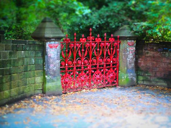 drunktankphoto's tweet image. Toy Strawberry Fields #fujifilm #x10 #advancedfilter #miniature @Fujifilm_UK