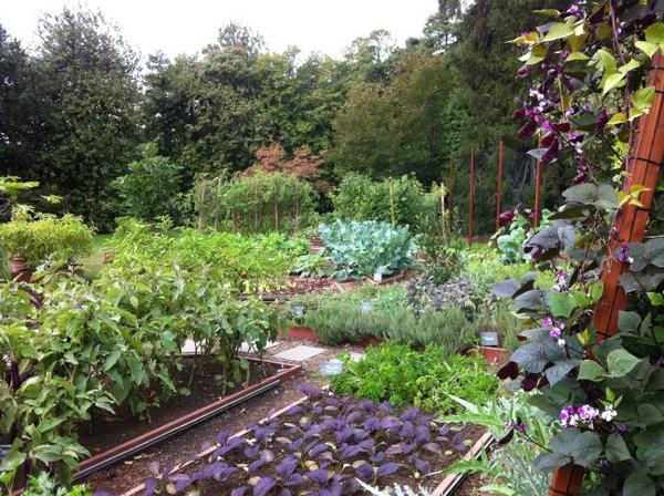 marishebarger's tweet photo. Awesome White House Garden Tour with Baiba http://t.co/IHUwHBkE