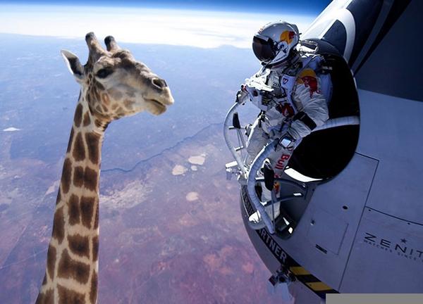 Striking new photo evidence raises questions over Baumgartner jump authenticity  (via <a href="/charleshatcher/">Charles Hatcher</a>)