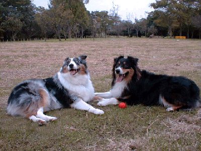 JettaWuff's tweet image. My mom (left) and dad (right). ^.^