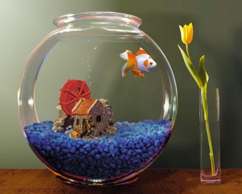Uee88_AS's tweet photo. ini hadiah buat ultah lo wkwk @OFEDonghaeSJ http://t.co/IE1LoZEP