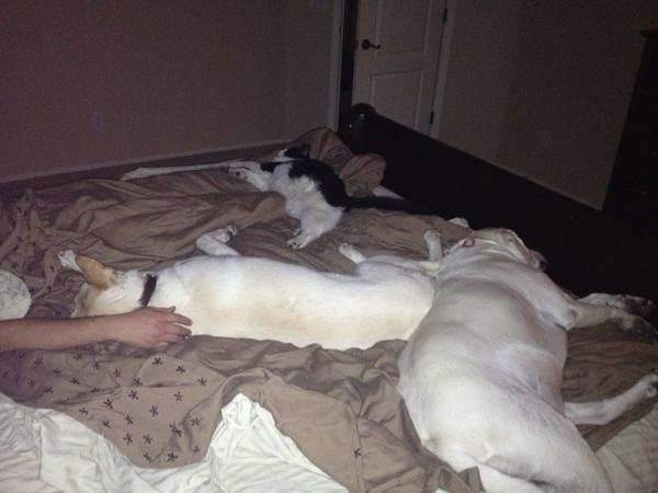 mariacraig7's tweet photo. No leg room http://t.co/wtcNhtL6