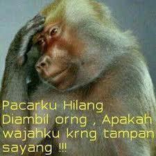 Sukmatrm tweet picture