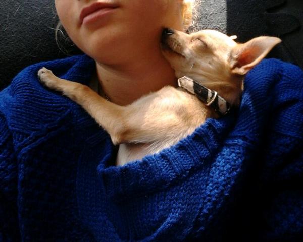 Dit is mn nieuwe vriendinnetje chloe! Ze is wel lief hoor...