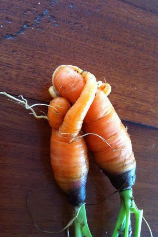 So cute... Monday smile! RT @Dee So cute... Monday smile! RT @Dee