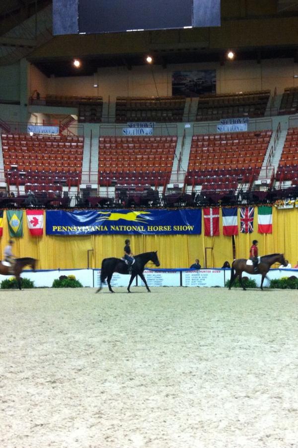 Rokeby Farm (RokebyFarm) Twitter