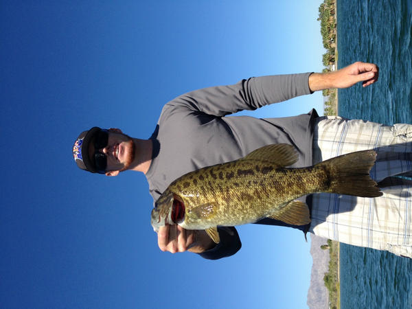 JoshBertand's tweet photo. Fished Havasu Sunday with Rob Russow and Nic Mcmurray. Great time, and some nice smallies.. http://t.co/jU7u81Sz