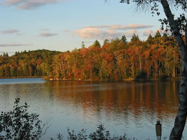 View from Dragonfly Cove!

rentalsmaine.com/listing/dragon…