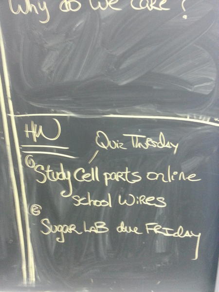 Peter J Zebley tweet media