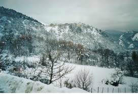 Passo Tonale tweet media