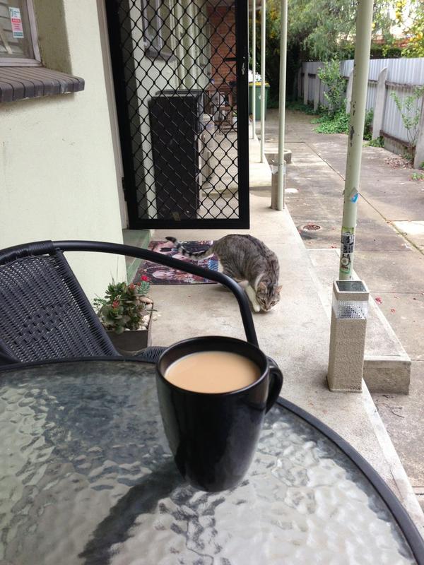 Morning #coffee w #monkey.. We both miss @BrosterSari