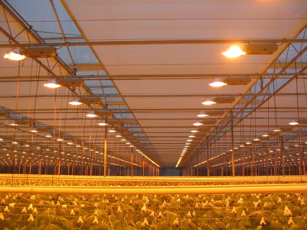 FFGlightdep tweet picture