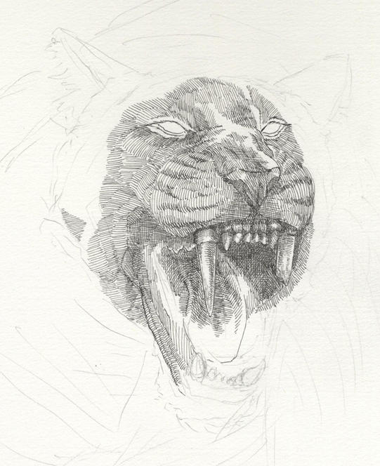 猫科猛獣描き中ー!ツケペンだと下向いて描くから、首が物凄く痛くなるけど、ひたすら線を描くのが楽しくて楽しくて(笑) 